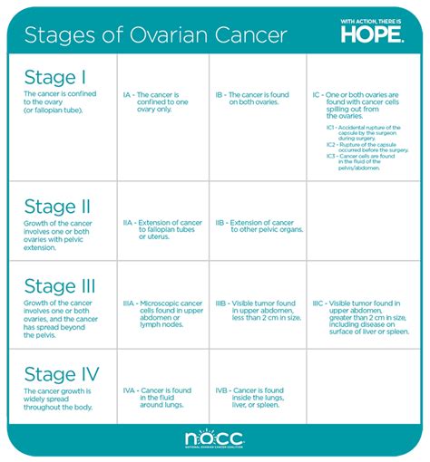 Location, size and number of tumors (<b>cancer<b> <b>stage<b>). . Ovarian cancer survivors stage 4